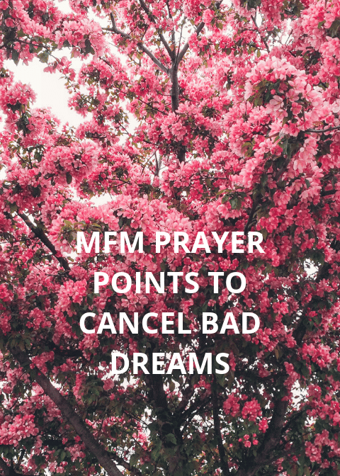 13 mfm prayer points to cancel bad dreams