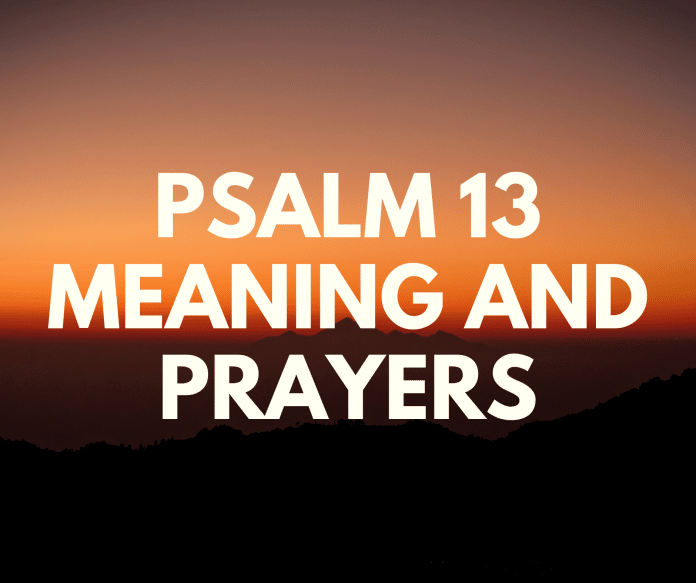 Псальма 13 Верш з верша