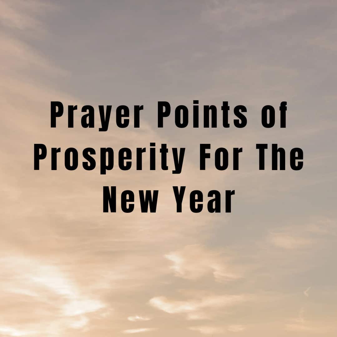 Prayer Points of Prosperity For The New Year Everyday Prayer Guide